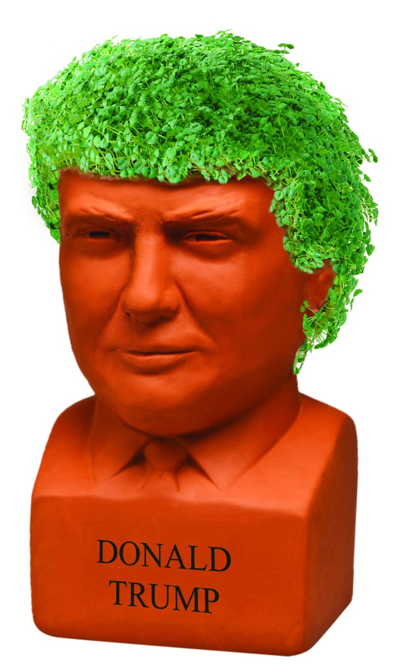 Chia Pet Donald Trump with Chia Seed Pack - Freedom of Choice - Decorative Presidential Pottery Planter, Easy to Do and Fun to Grow, Novelty Gift, Terra Cotta - Image 3
